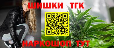 стафф Кингисепп