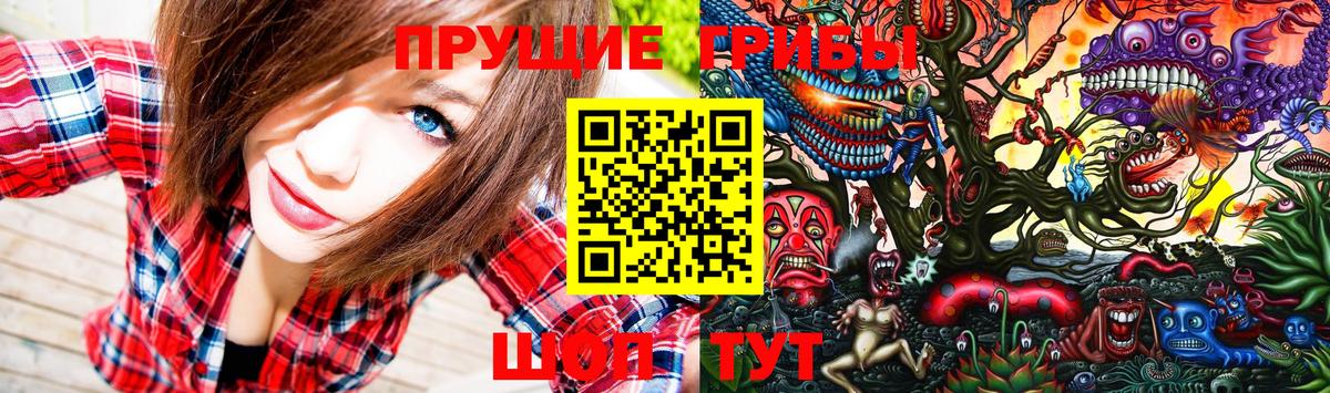 Ейск  Псилоцибиновые грибы Psilocybine cubensis  Псилоцибиновые грибы Magic Shrooms  Вход с VPN 